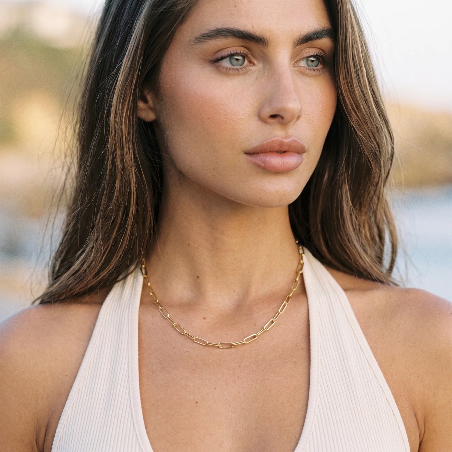 Aurelia Paperclip Chain Set